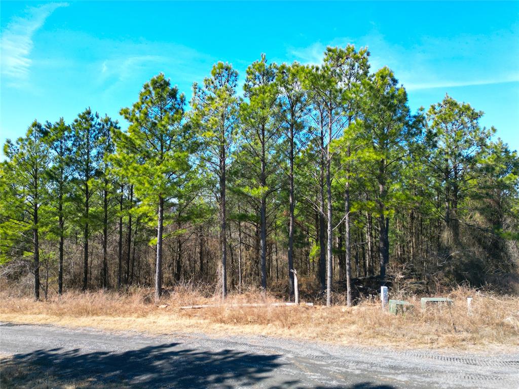 484 Lukfata Fork Trail Property Photo 8