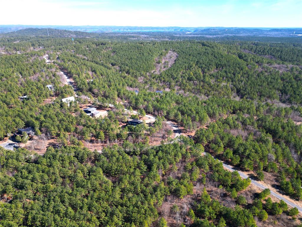 484 Lukfata Fork Trail Property Photo 9