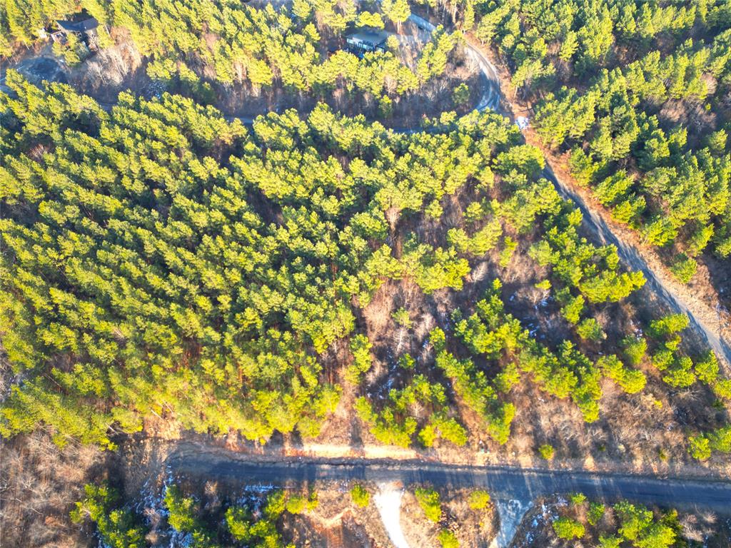 484 Lukfata Fork Trail Property Photo 11