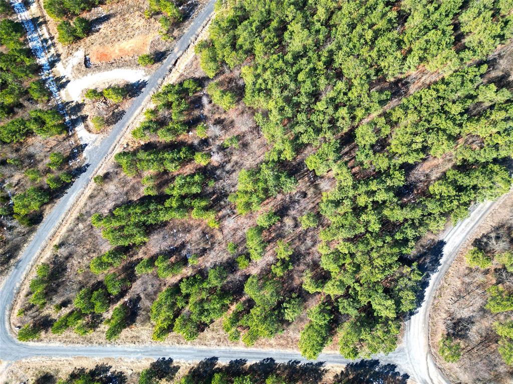 484 Lukfata Fork Trail Property Photo 12