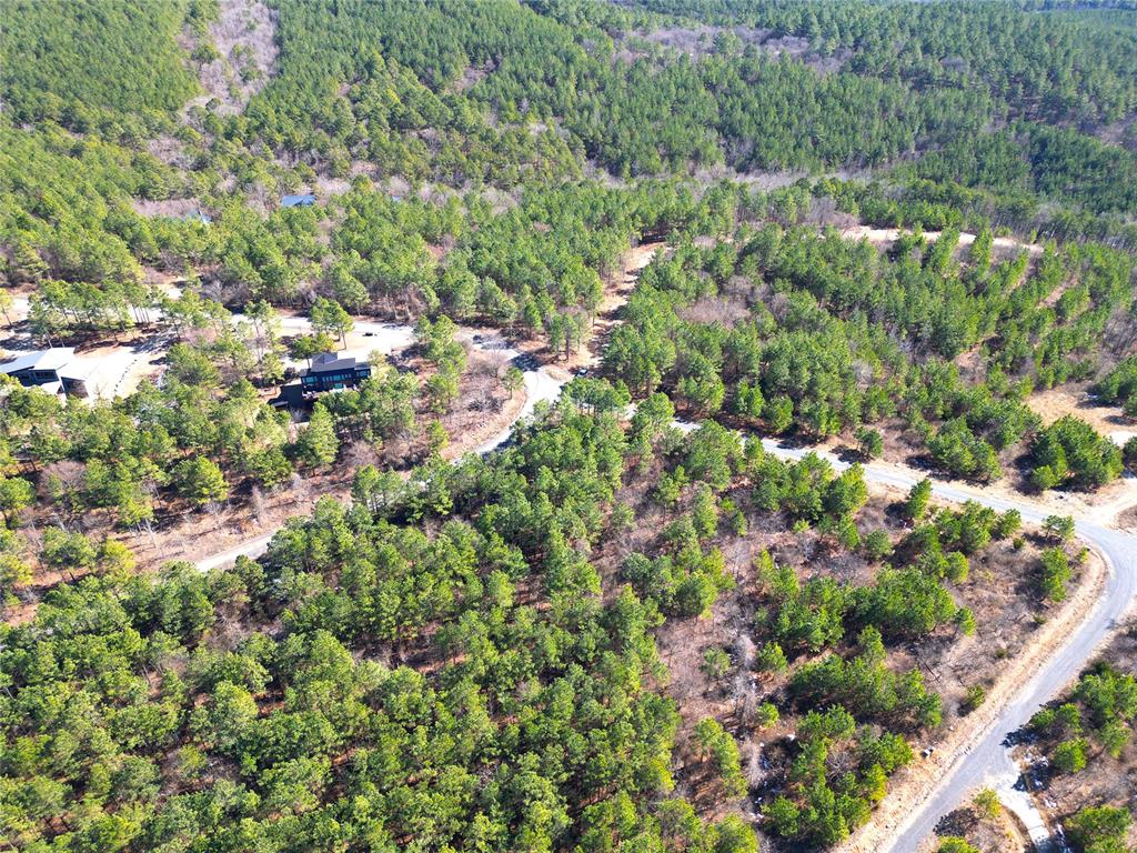 484 Lukfata Fork Trail Property Photo 13