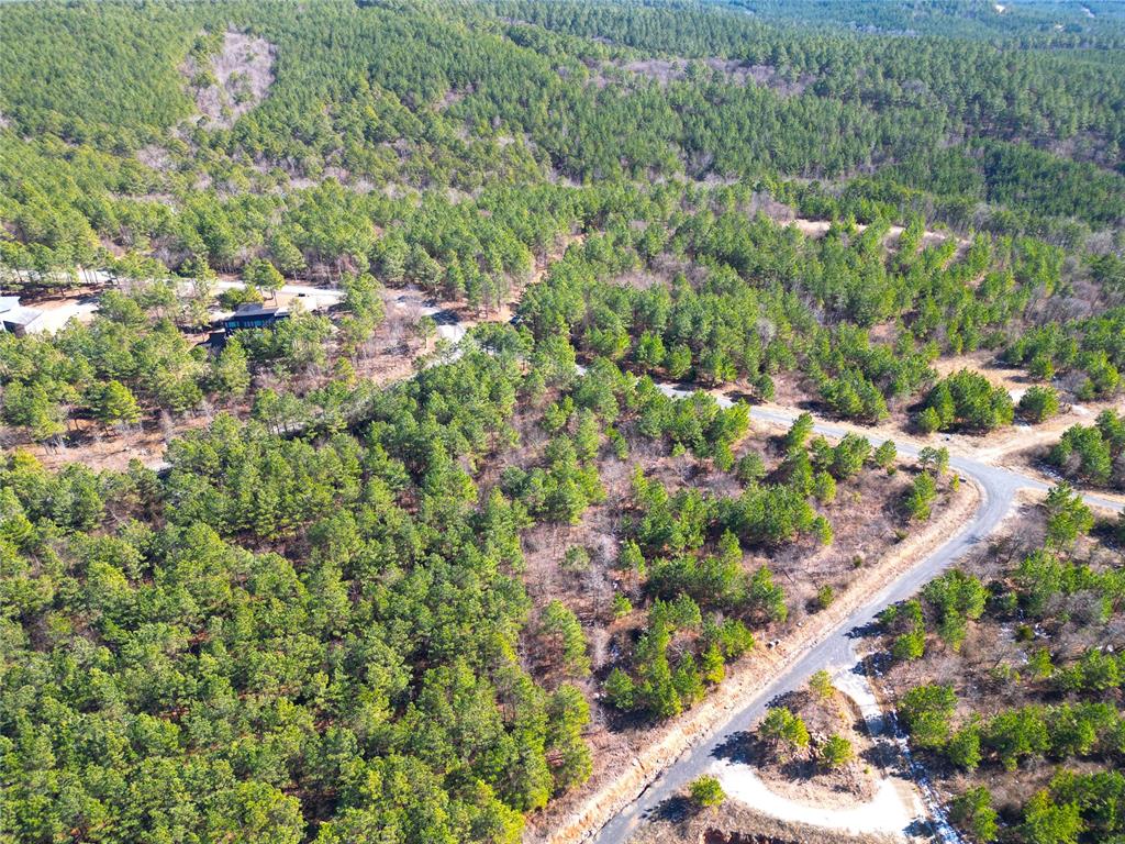 484 Lukfata Fork Trail Property Photo 14