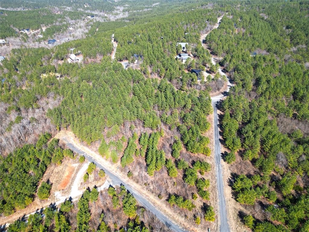 484 Lukfata Fork Trail Property Photo 15
