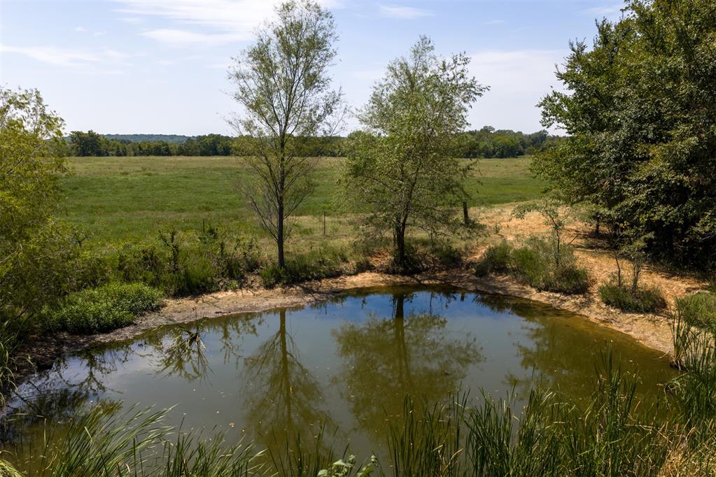 101151 N Hwy 56 Highway Property Photo 17