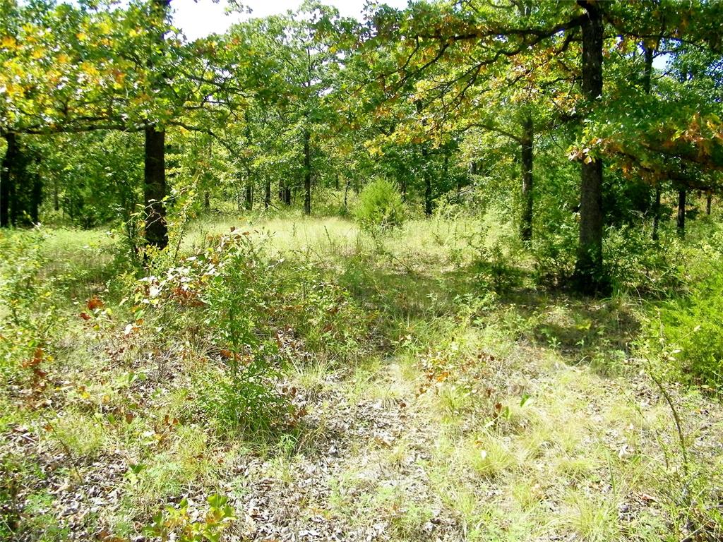 S 230 Road Property Photo 29