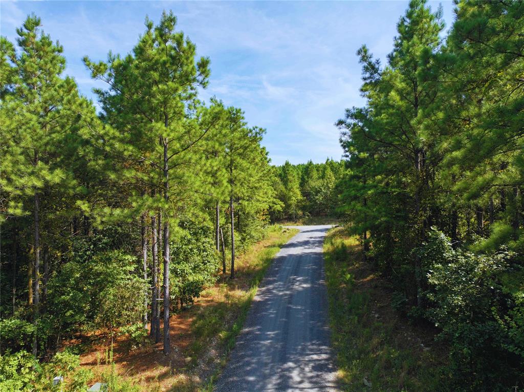 32 Wayward Pine Trl Trail Property Photo 2