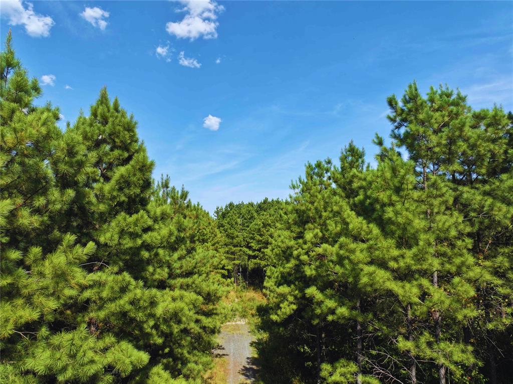 32 Wayward Pine Trl Trail Property Photo 3