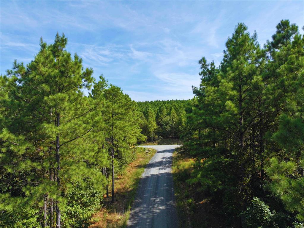 32 Wayward Pine Trl Trail Property Photo 4