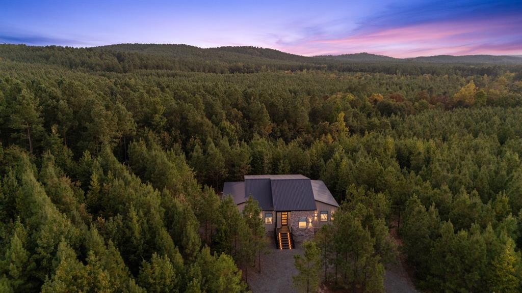 250 Southern Spruce Trail Property Photo 5