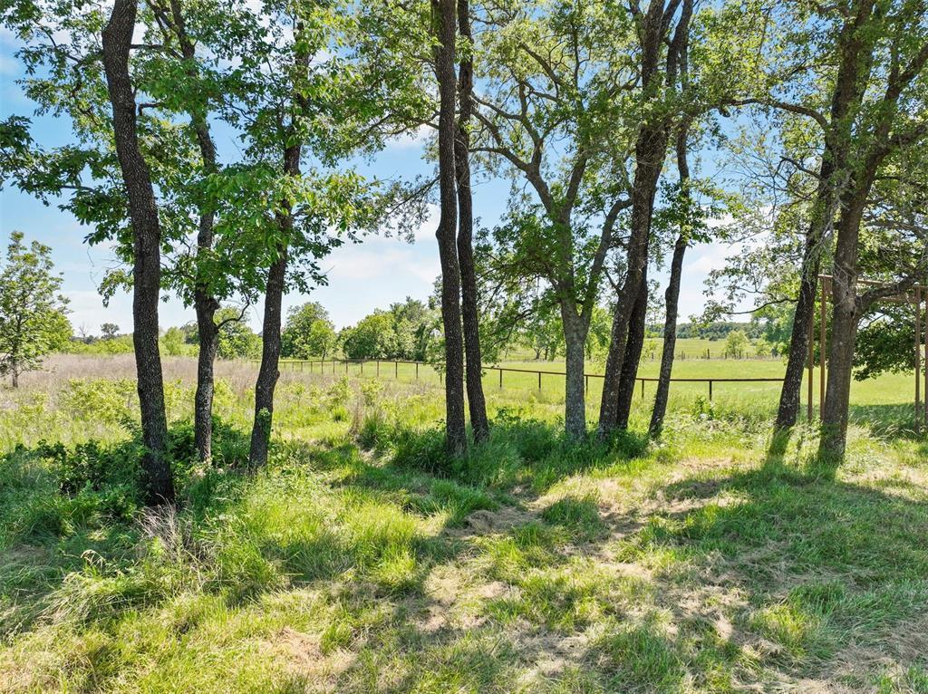 34853 Wildcat Way Property Photo 16