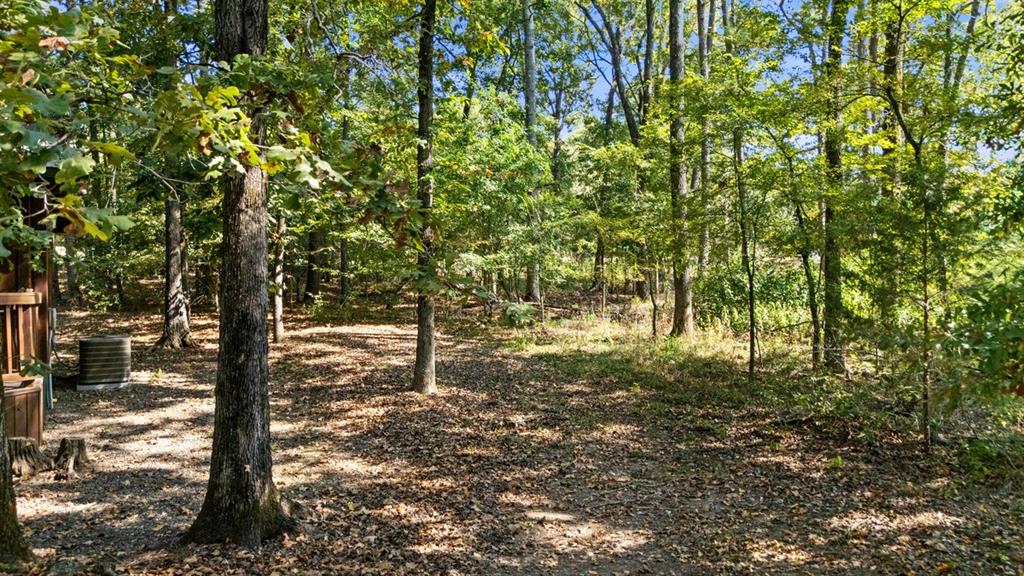 123 Alexis Lane Property Photo 21