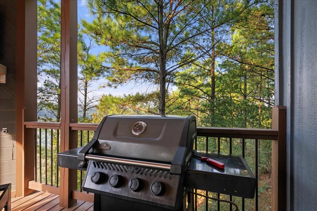 300 Evergreen Vista Loop Property Photo 7