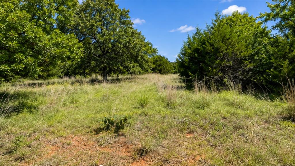 30226 Hamilton Road Property Photo 1
