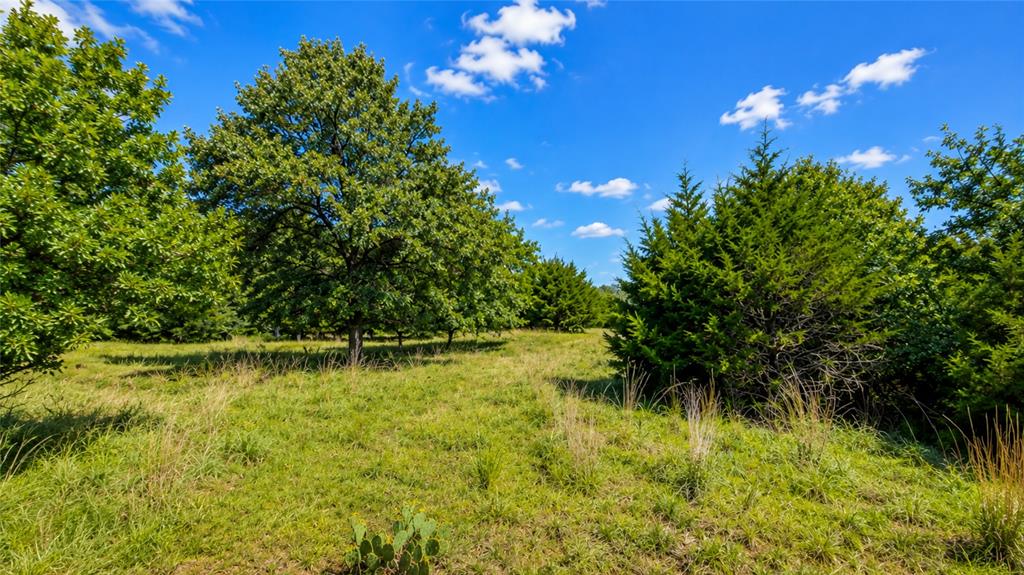 30226 Hamilton Road Property Photo 3