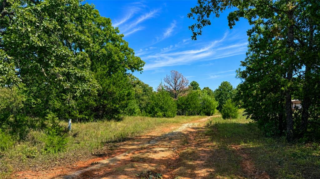 30226 Hamilton Road Property Photo 4