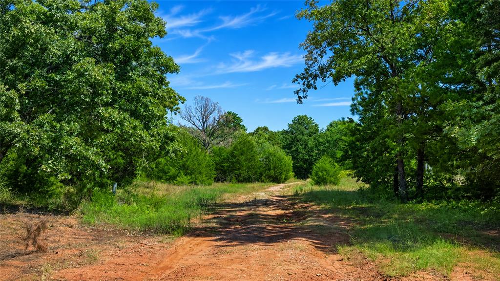 30226 Hamilton Road Property Photo 6