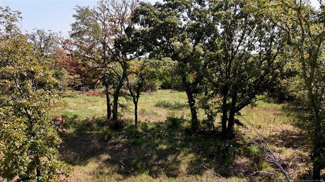 County Road 3620 Property Photo 5