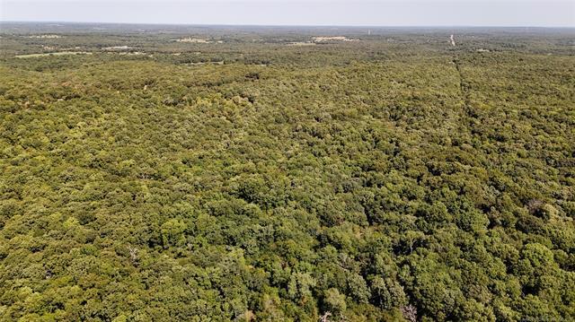 County Road 3620 Property Photo 12