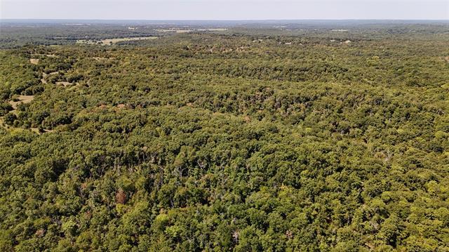 County Road 3620 Property Photo 20