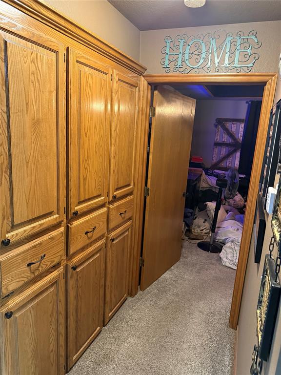 873 Oaklawn Drive Property Photo 20