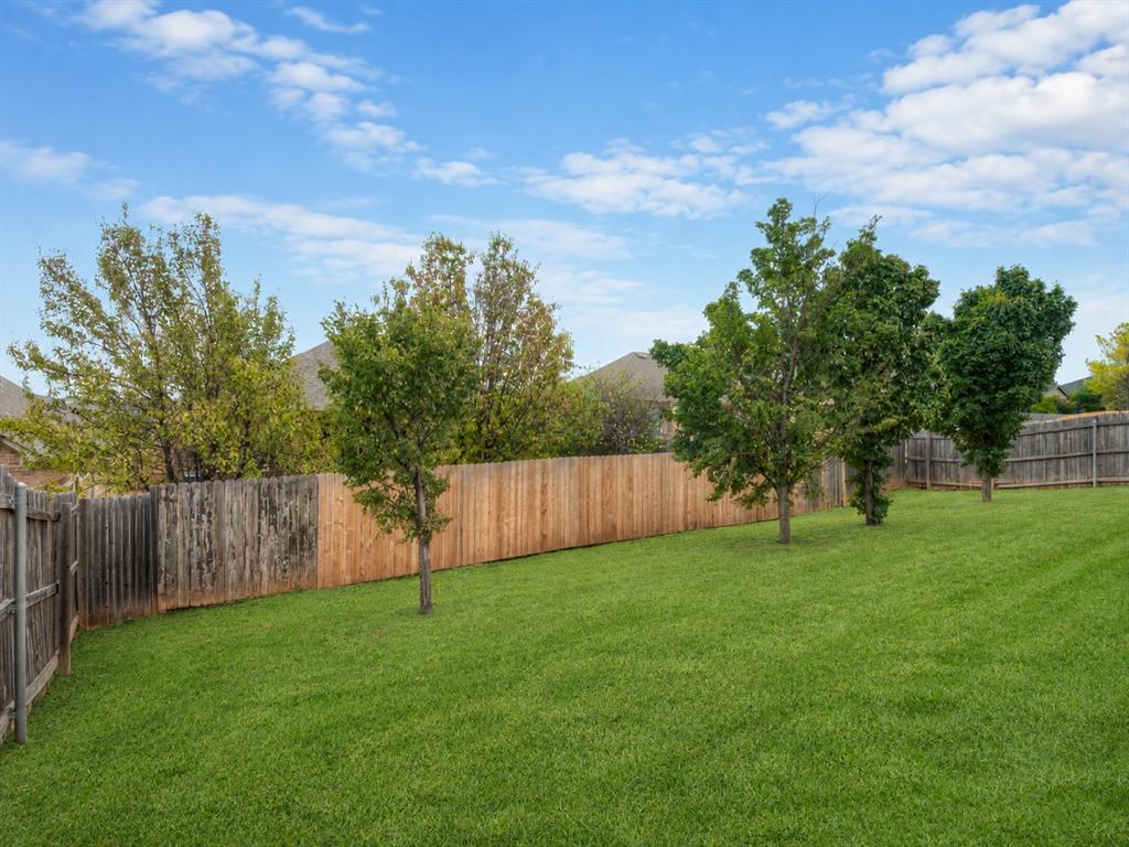 3815 Painted Bird Lane Property Photo 41