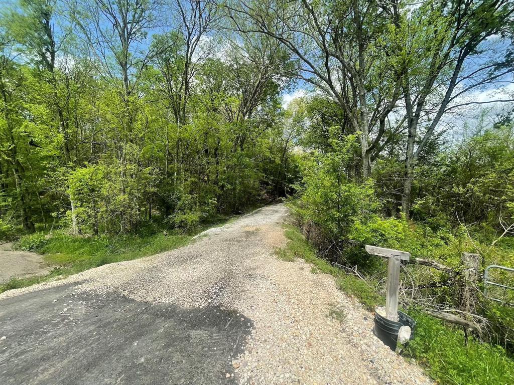 260 Box Elder Lane Property Photo 10