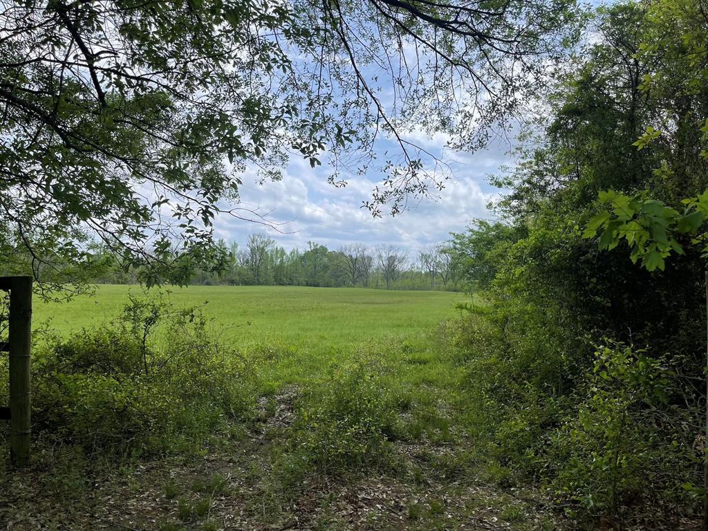 260 Box Elder Lane Property Photo 37