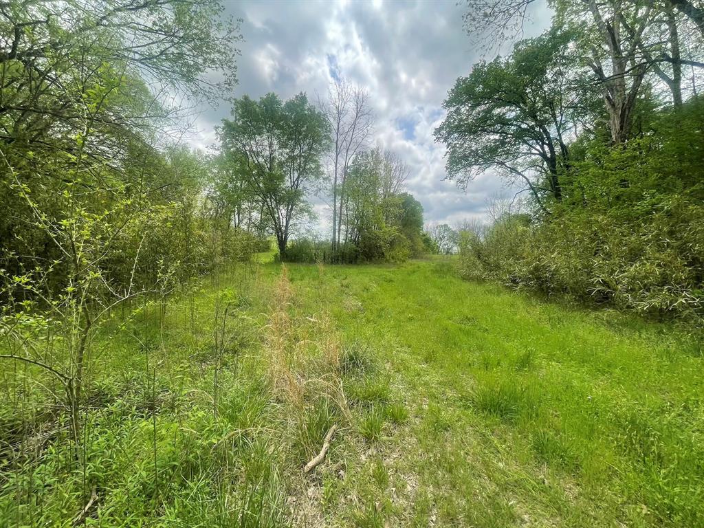 260 Box Elder Lane Property Photo 38