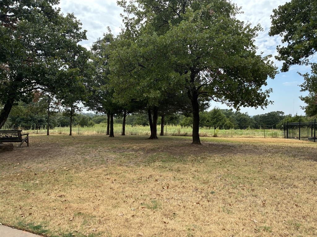 10209 Timber Valley Drive Property Photo 7