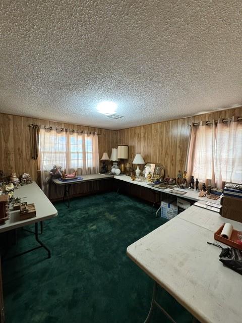 230 N Pecan Property Photo 11