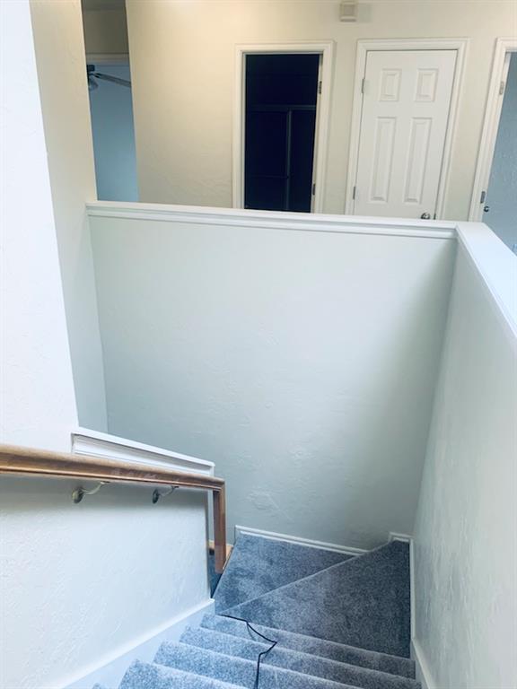 835 Rambling Oaks Drive Property Photo 14