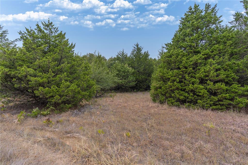 1246727 Property Photo 2
