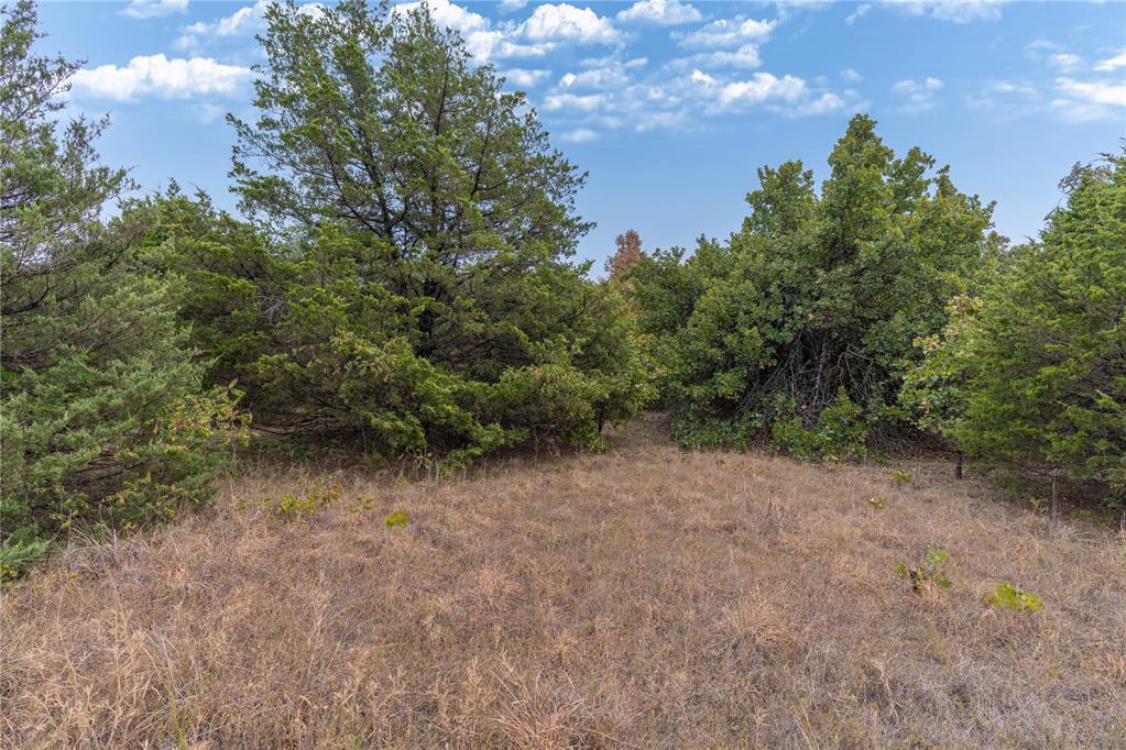 1246727 Property Photo 3