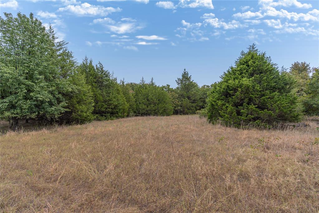 1246727 Property Photo 4