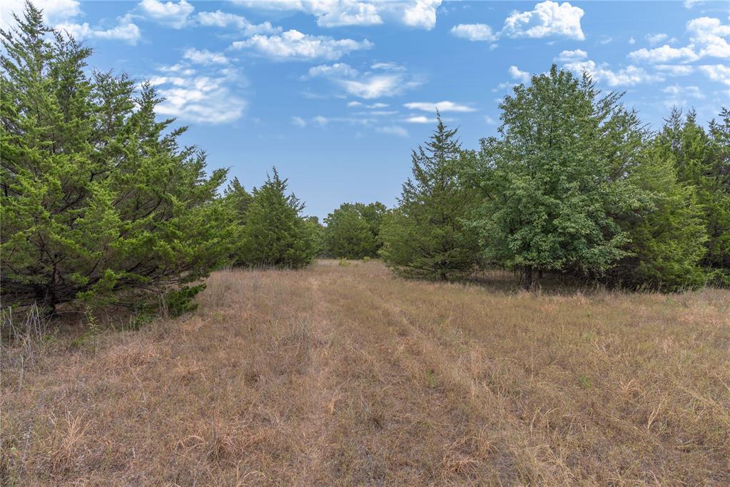 1246727 Property Photo 5