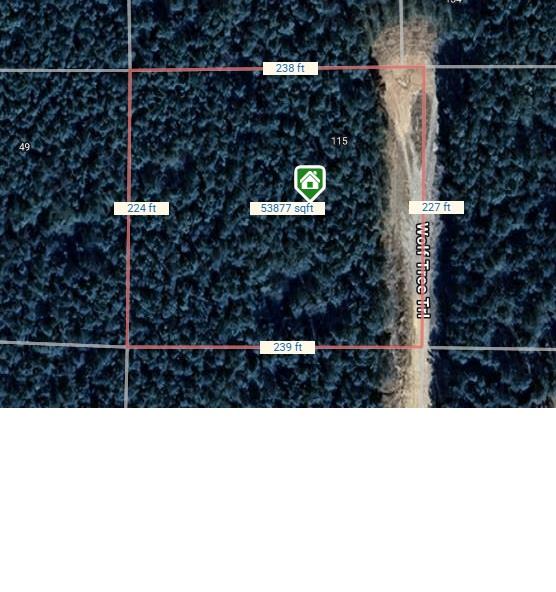 115 Wolf Tree Trail Property Photo 32