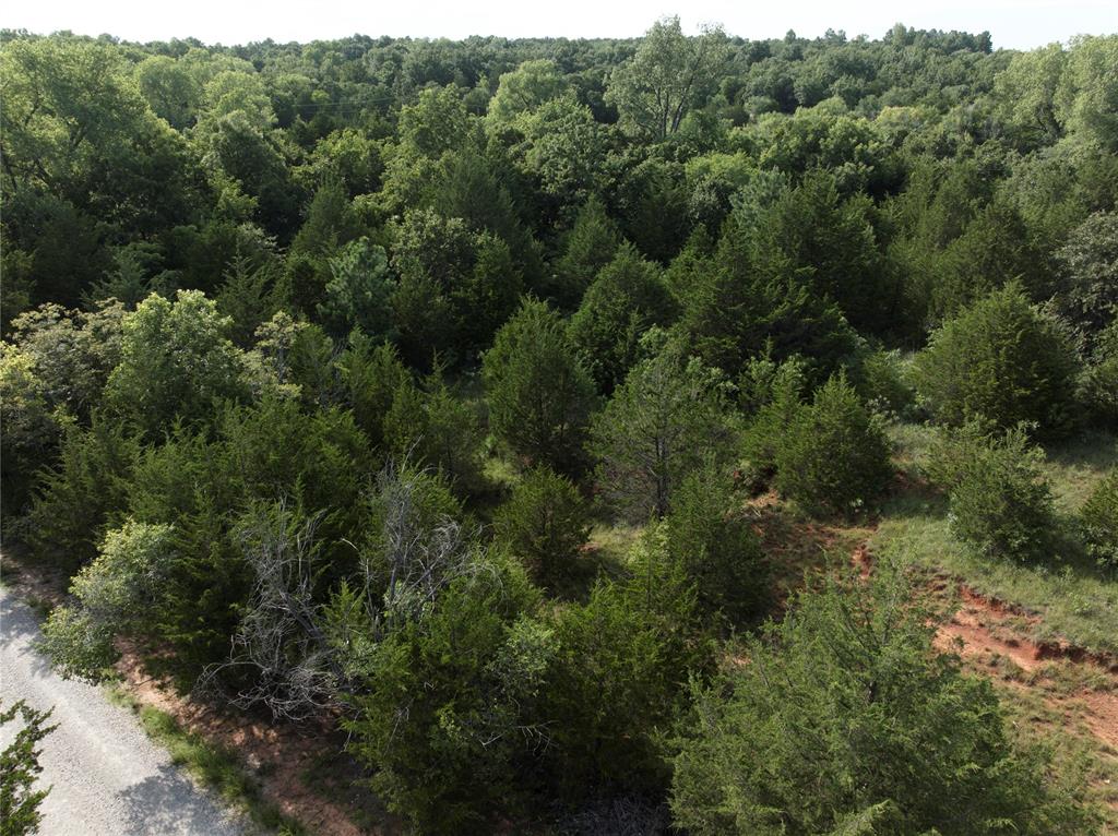 10017 N Darwin Circle Property Photo 13