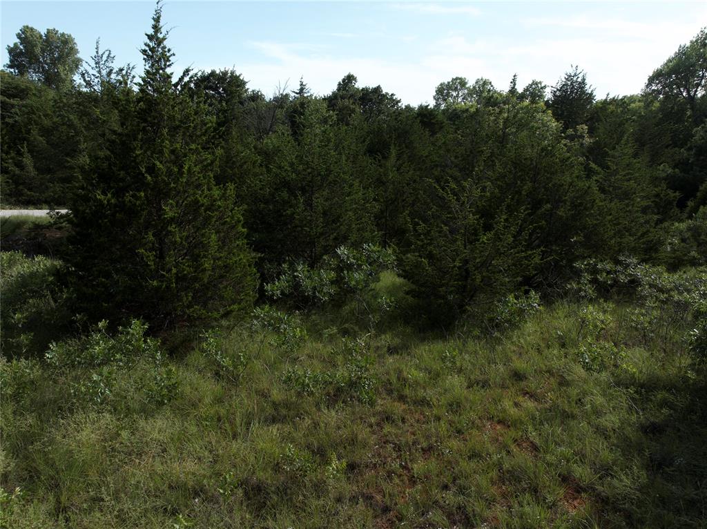 10017 N Darwin Circle Property Photo 17