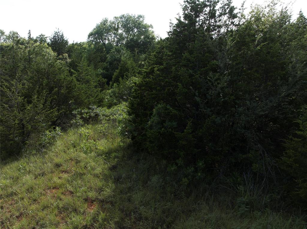 10017 N Darwin Circle Property Photo 18