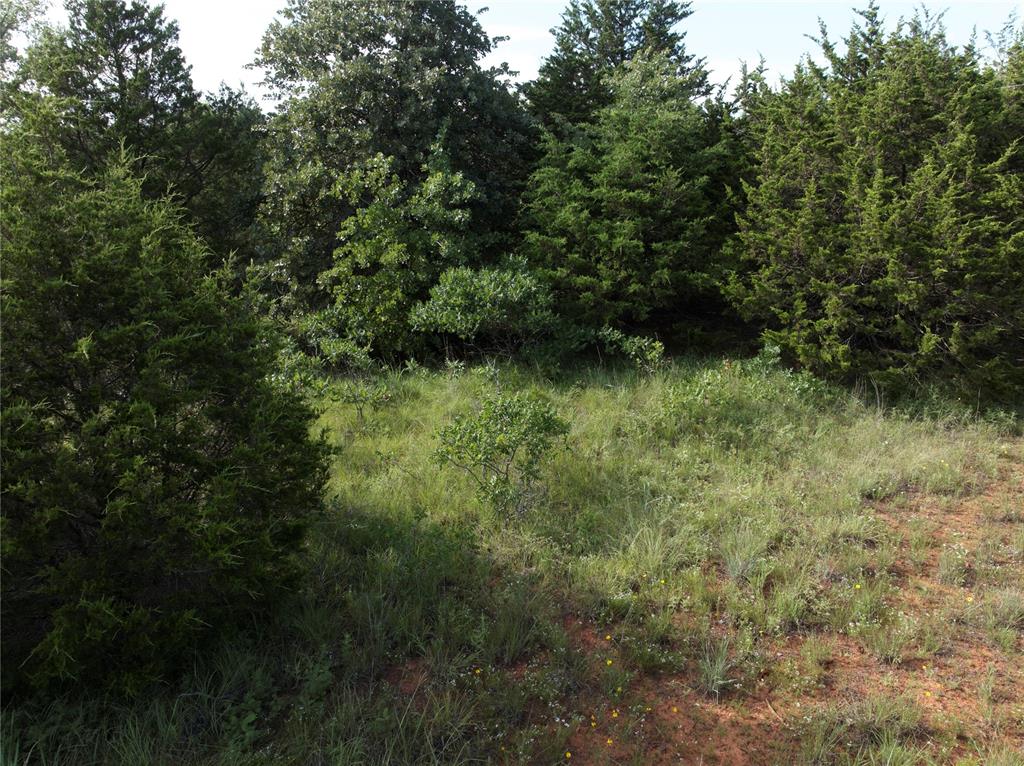 10017 N Darwin Circle Property Photo 19
