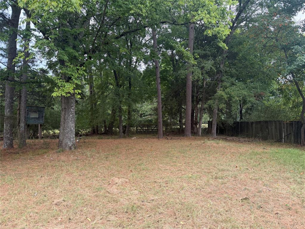 1822 N Us Hwy 259 Highway Property Photo 6