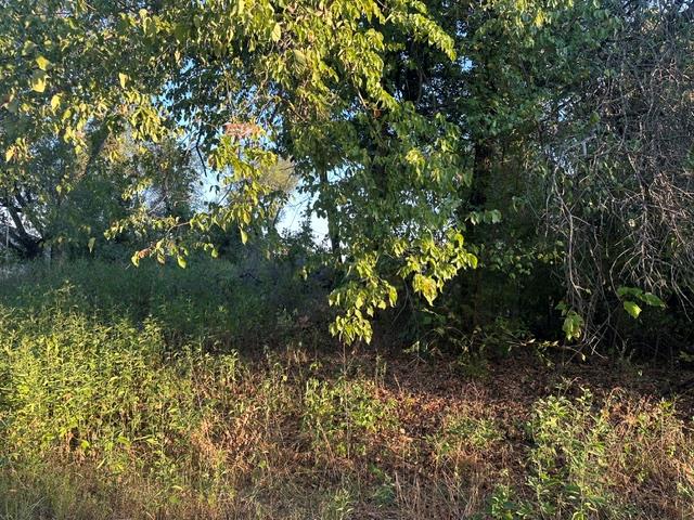 Ne 40th Street Property Photo 1