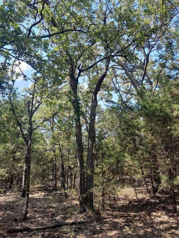 4995 N Triple X Road Property Photo 5