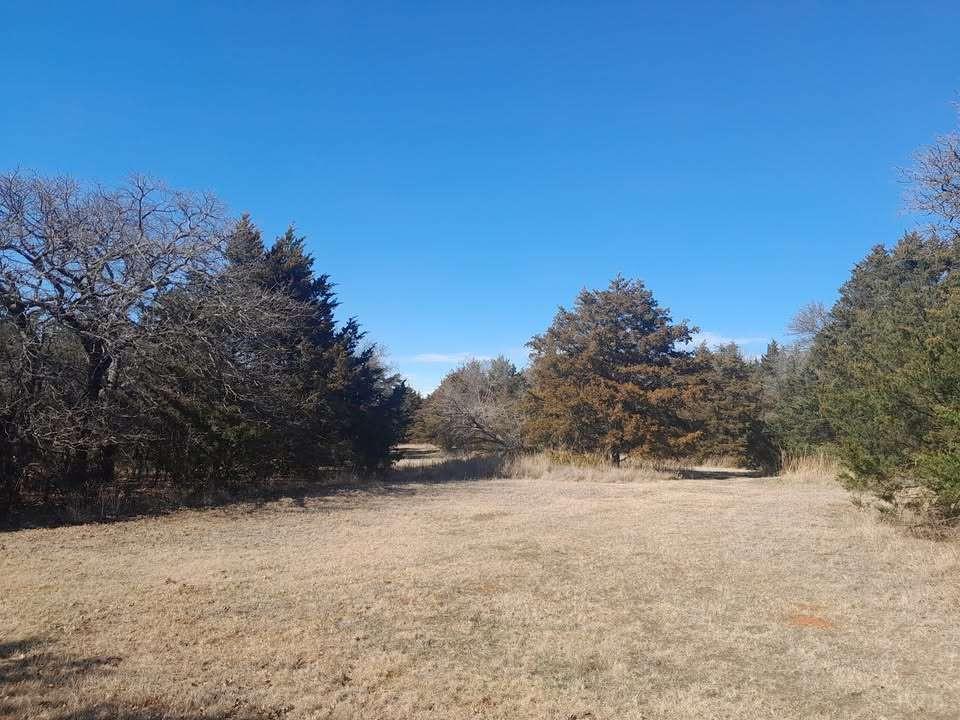4995 N Triple X Road Property Photo 10