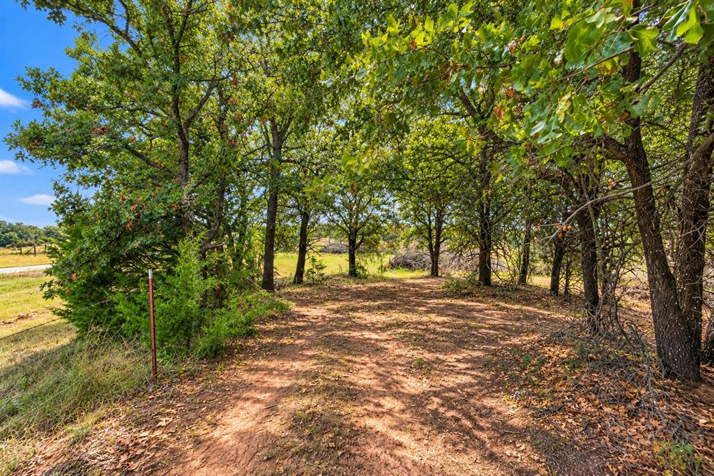15000 Hogback Road Property Photo 17
