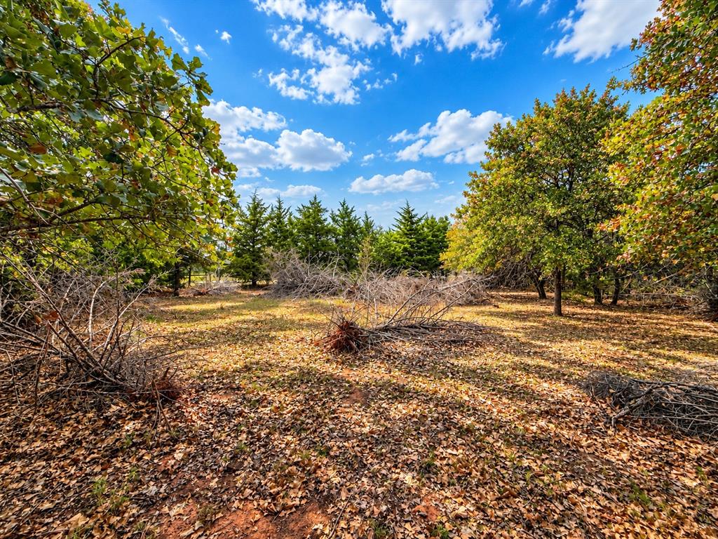 15000 Hogback Road Property Photo 18