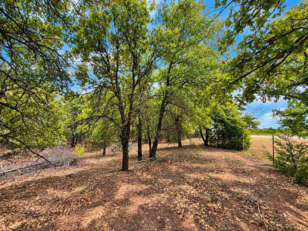 15000 Hogback Road Property Photo 19