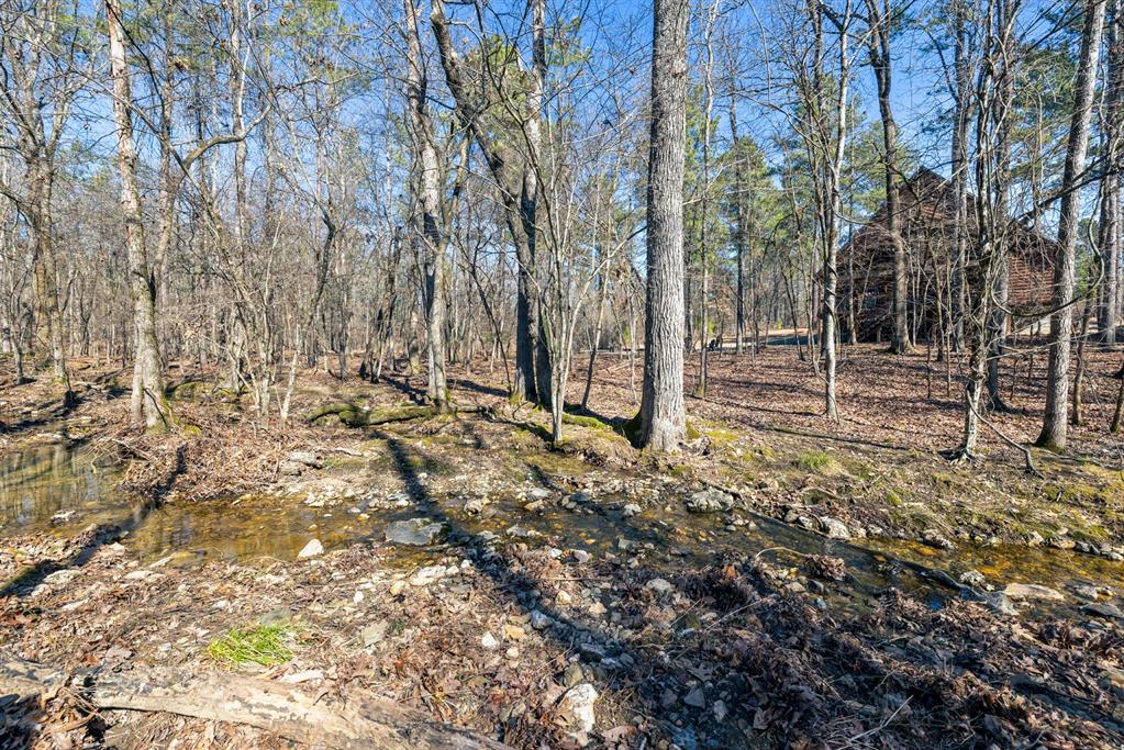 38 Rough Cut Circle Property Photo 32