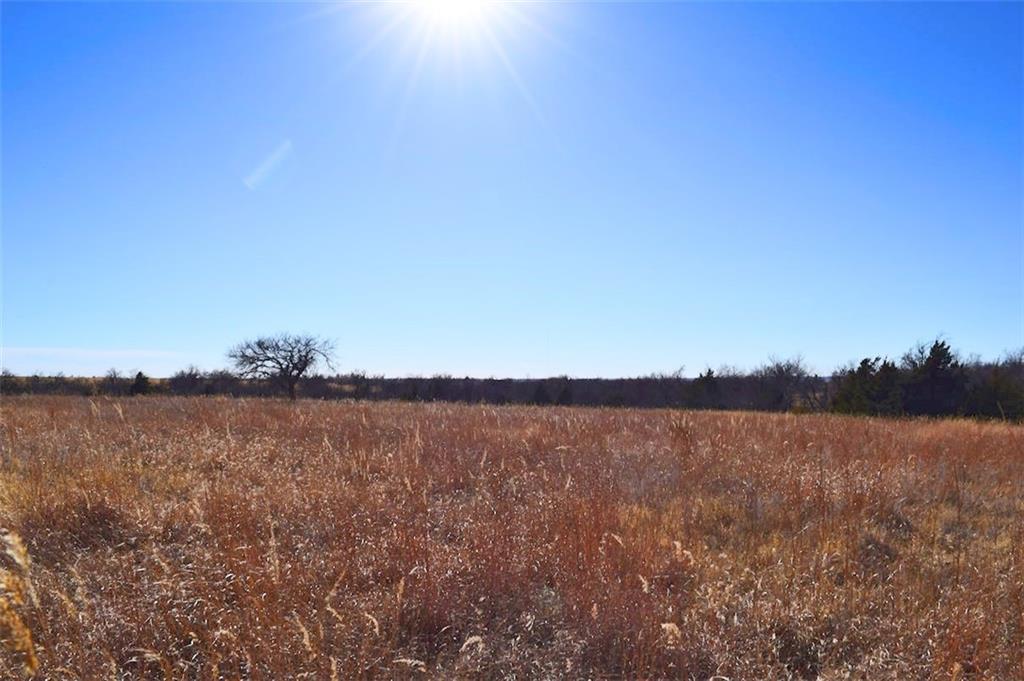 1247312 Property Photo 10