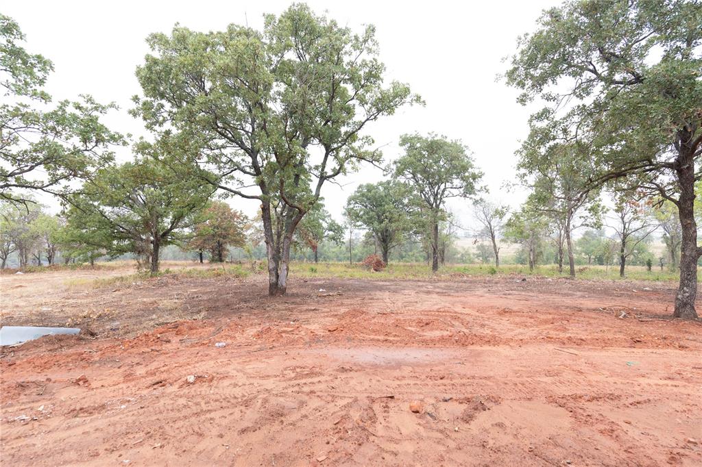 17125 Billy Road Property Photo 22
